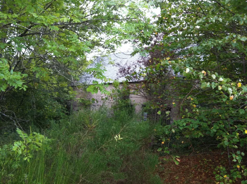 IMG 0071 La Grange