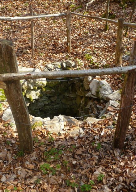 Trappe à loup marchastel