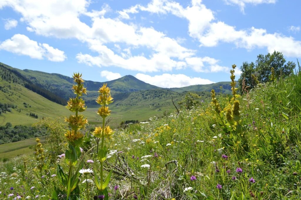 photo du puy mary dans le cantal en été